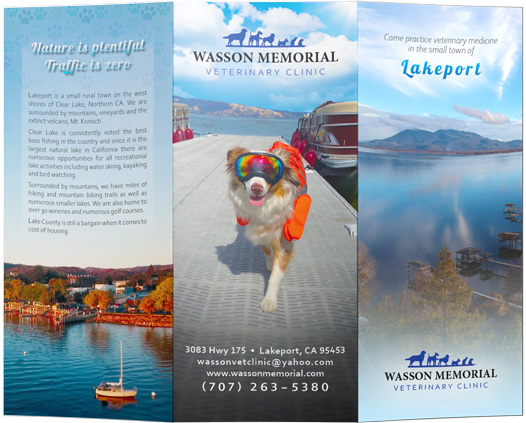 Brochure Outside - Wasson Vet Clinic